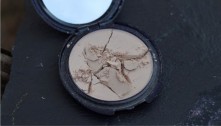 1-blush.jpg