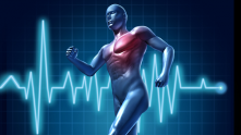 cardiac-sport_1556_article_93063.png