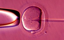 ivfalamy_3435181b_trans_NvBQzQNjv4BqpJliwavx4coWFCaEkEsb3kvxIt-lGGWCWqwLa_RXJU8.jpg