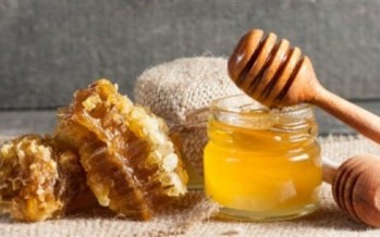 طعام لا تنتهي صلاحيته أبداً!