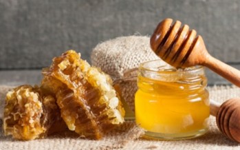 لأصحاب الوزن الزائد ومرضى السكري.. انتبهوا من تناول العسل