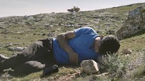«التطبيع الفني» وفيلم «لا أرض أخرى»