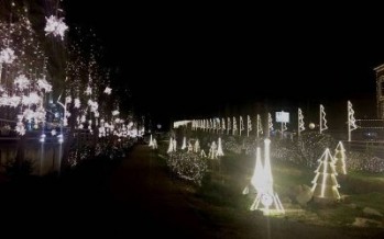 بالصور: جبيل تضيء شجرة الميلاد... 