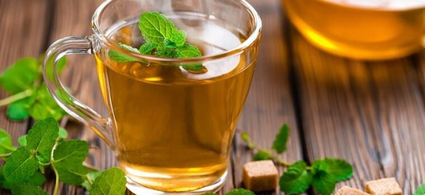 ماذا يحدث لجسمك عند شرب الشاي الأخضر يوميا؟