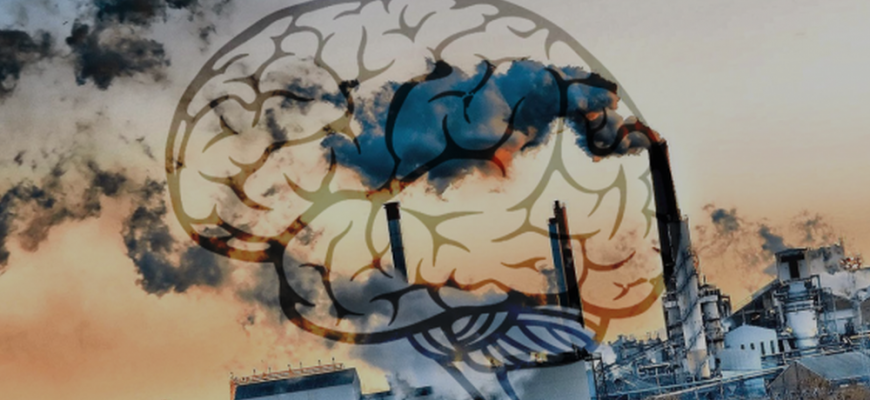 دراسة جديدة: تلوث الهواء يضر بالدماغ ويسبب ضعف الذاكرة لدى كبار السن ... دراسة جديدة: تلوث الهواء يضر بالدماغ ويسبب ضعف الذاكرة لدى كبار السن ...