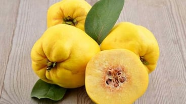 فوائد السفرجل للحامل... أضراره وطرق تناوله