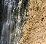 هنهسيسيبنتسبي سنتيبي هنهسيسيبنتسبي سنتيبي