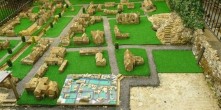 705141.jpg