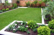image_(5).jpg
