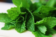 mint.jpg