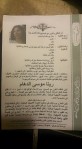 rita-leb7.jpg