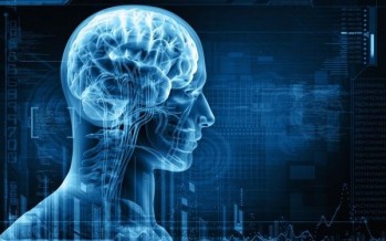 وظائف الدماغ بحاجة الى هذه الأصناف من المأكولات لتحفيزه ولتحسين المزاج