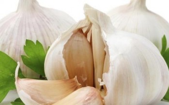 القضاء على الرشح