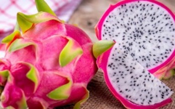 هل تعلمون ما هي الـ هل تعلمون ما هي الـ