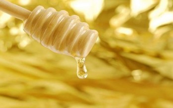 ماذا يحصل في الجسم عند تناول ملعقة عسل يوميًا؟