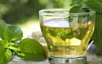 كيف تحارب متاعب المعدة؟ إليك الحل