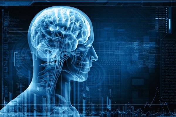 وظائف الدماغ بحاجة الى هذه الأصناف من المأكولات لتحفيزه ولتحسين المزاج وظائف الدماغ بحاجة الى هذه الأصناف من المأكولات لتحفيزه ولتحسين المزاج