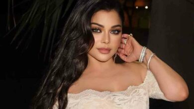 هيفا وهبي تدخل عالم الكوميديا قريبًا… هيفا وهبي تدخل عالم الكوميديا قريبًا…