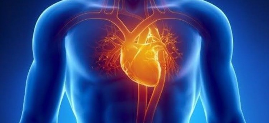 لاصقة قلب الكترونية يمكن أن تغني عن زراعة القلب لاصقة قلب الكترونية يمكن أن تغني عن زراعة القلب