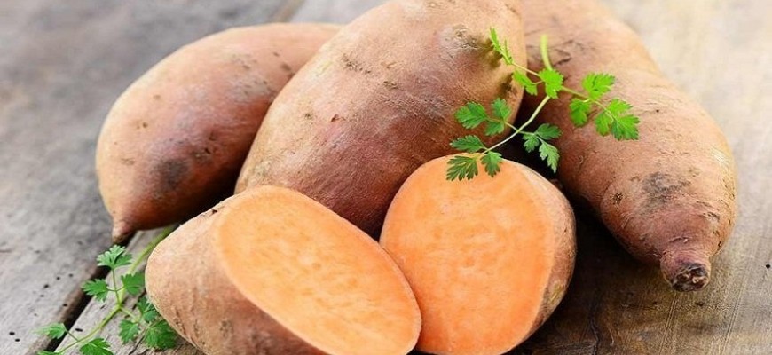فوائد البطاطا الحلوة للقلب والعظام فوائد البطاطا الحلوة للقلب والعظام