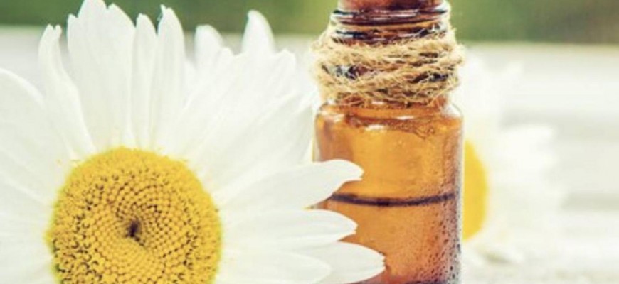 طرق تفتيح لون الشعر بأكياس البابونج طرق تفتيح لون الشعر بأكياس البابونج