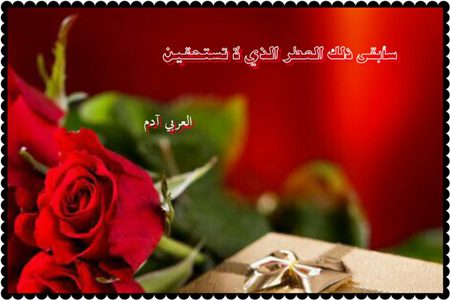 قلم الأمنيات قلم الأمنيات